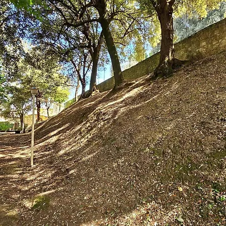 La Piccola Rocca 别墅 切托纳